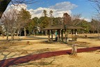 和光樹林公園