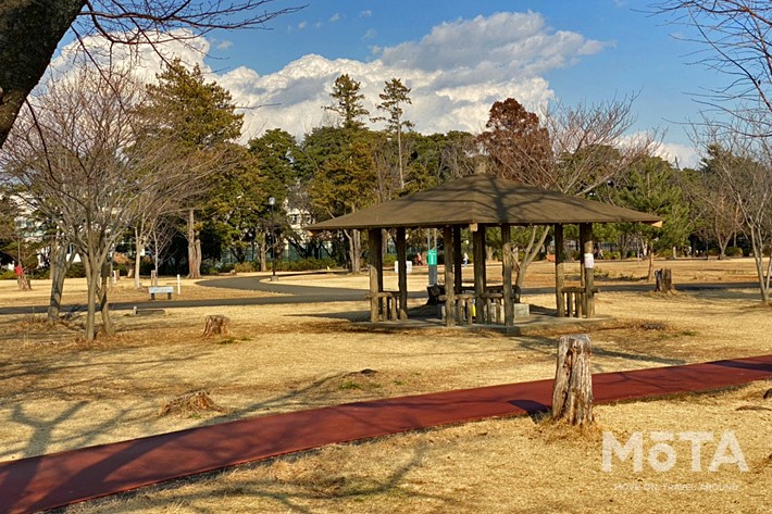 和光樹林公園