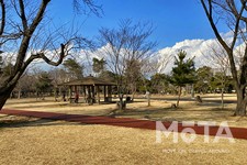 和光樹林公園