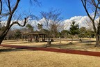 和光樹林公園
