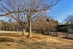 和光樹林公園