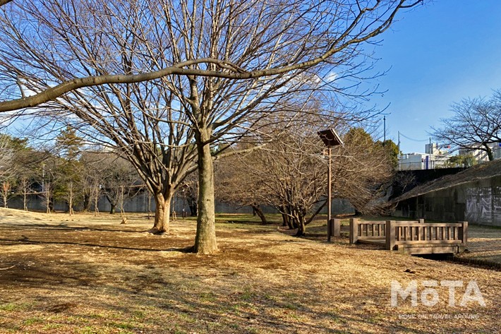 和光樹林公園