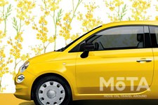 フィアット 500/500C 限定車「ミモザ2」[2021年3月20日発売・限定250台]