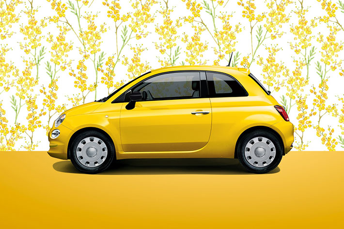 3月8日は黄色いミモザの花を贈ろう フィアットが黄色い限定車を発売 業界先取り 業界ニュース 自動車ニュース22国産車から輸入車まで Mota 3月8日は黄色いミモザの花を贈ろう フィアットが黄色い限定車を発売 業界先取り 業界ニュース 自動車ニュース22国産車から輸入車まで Mota