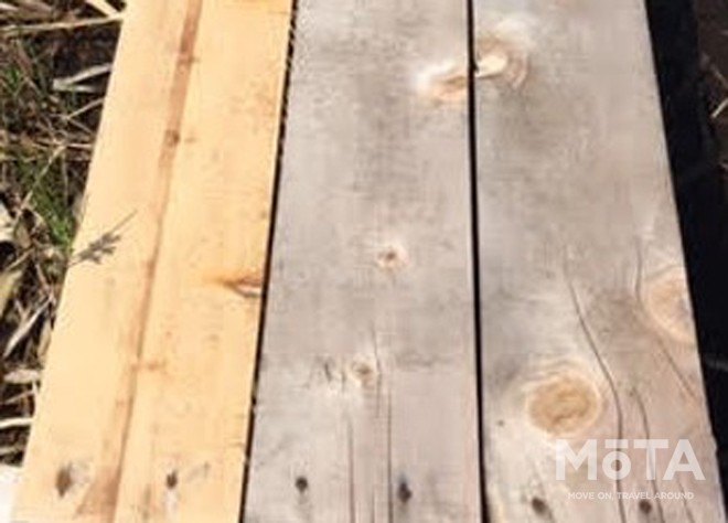 鈴鹿サーキット 新アトラクション「菜園めいろ ポタジェンヌ」