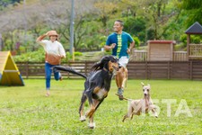 わんダフルネイチャーヴィレッジ