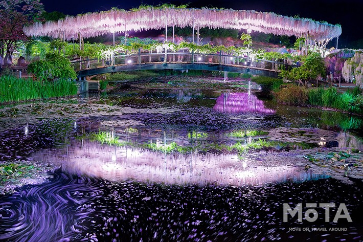 4月中旬が見頃 350本以上の咲き誇る藤を見に行こう あしかがフラワーパーク ふじのはな物語 大藤まつり21 現地レポート 新車 車イベント21年 Mota 4月中旬が見頃 350本以上の咲き誇る藤を見に行こう あしかがフラワーパーク ふじのはな物語 大藤まつり21 現地レポート 新車 車イベント21年 Mota