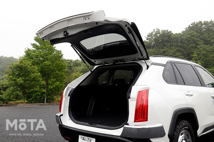 「ミツオカ バディ 20ST」（2WD・2リッターガソリン）[オプション装着車]