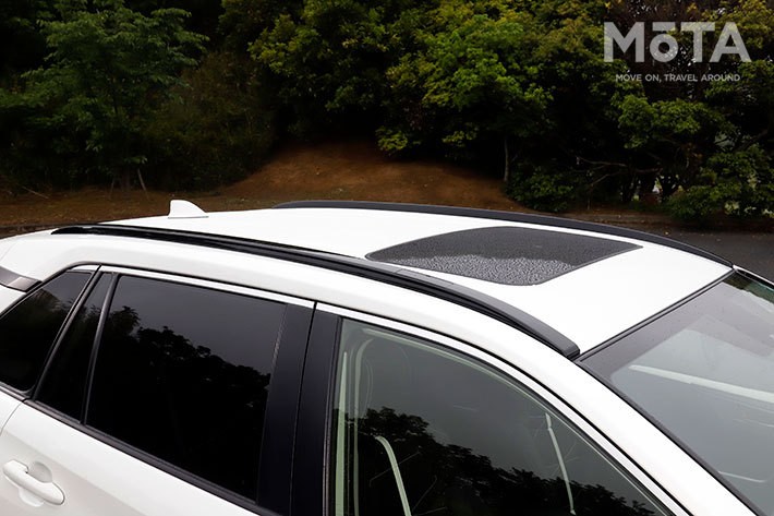 「ミツオカ バディ 20ST」（2WD・2リッターガソリン）[オプション装着車]