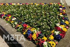 首都高速道路・横浜・大黒パーキングエリアの花壇[東京2020東京オリンピック・パラリンピック対策]