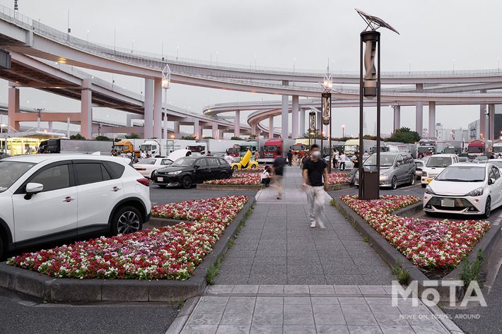 首都高速道路・横浜・大黒パーキングエリアの花壇[東京2020東京オリンピック・パラリンピック対策]