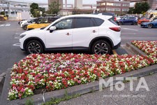 首都高速道路・横浜・大黒パーキングエリアの花壇[東京2020東京オリンピック・パラリンピック対策]