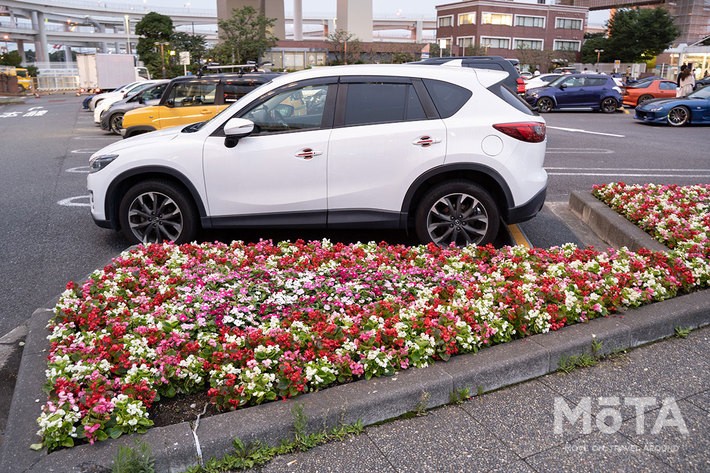 首都高速道路・横浜・大黒パーキングエリアの花壇[東京2020東京オリンピック・パラリンピック対策]