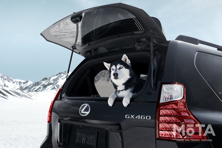 レクサス 新型GX