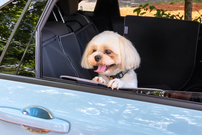 ワンちゃんとの旅をもっと楽しみたい愛犬家は必見 Honda Dog の愛犬用アクセサリーでロングドライブに行ってみた ホンダアクセス Pr 1 2 特別企画 Mota