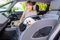 ワンちゃんとの旅をもっと楽しみたい愛犬家は必見！ 「Honda Dog」の愛犬用アクセサリーでロングドライブに行ってみた／ホンダアクセス【PR】