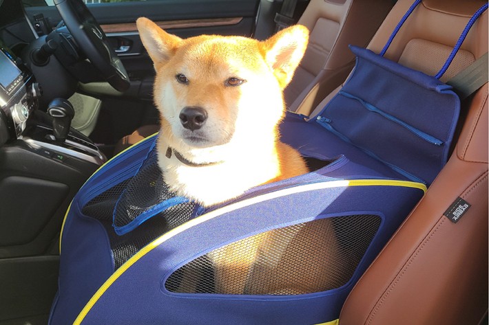 Honda Dog／ホンダアクセス