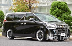 トライアルファ Leowing（レオウイング） FM9