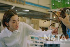 ユピテル 全周囲360°＆リアカメラドライブレコーダーmarumie（マルミエ）「Q-31R」「ZQ-31R」新TV-CM「My Drive Life篇（30秒）」公開