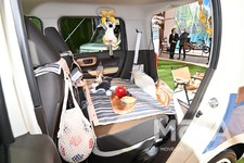 ホンダ N-WGN ピクニック