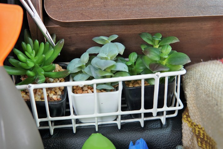 海外のバンライフに影響を受けて車内に植物を置いたところ、冬場に霜が降りて枯らしてしまったので、現在は造花を飾っている