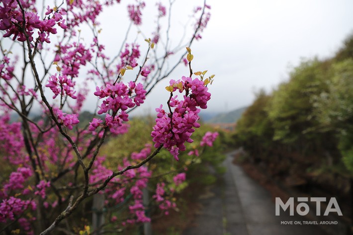神奈川ドライブ旅