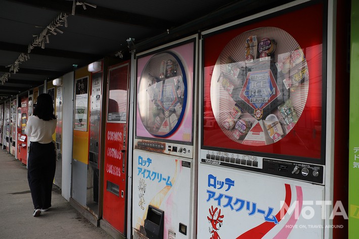 神奈川ドライブ旅