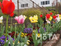 神奈川ドライブ旅