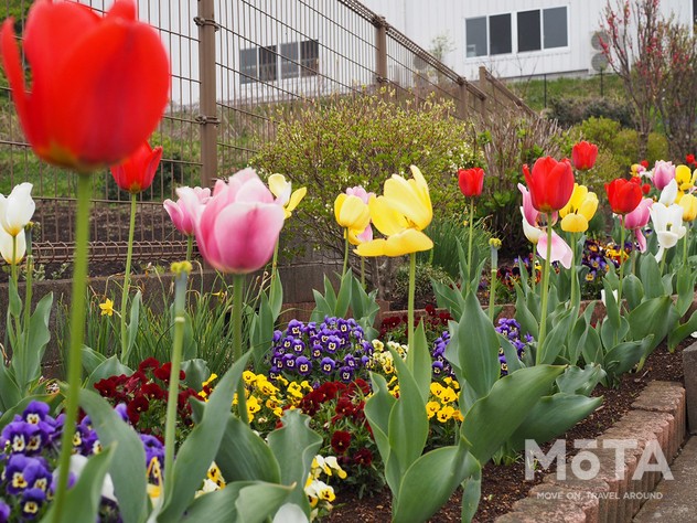 神奈川ドライブ旅
