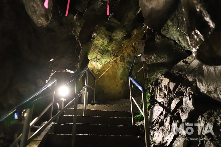 東京西部お出かけスポット