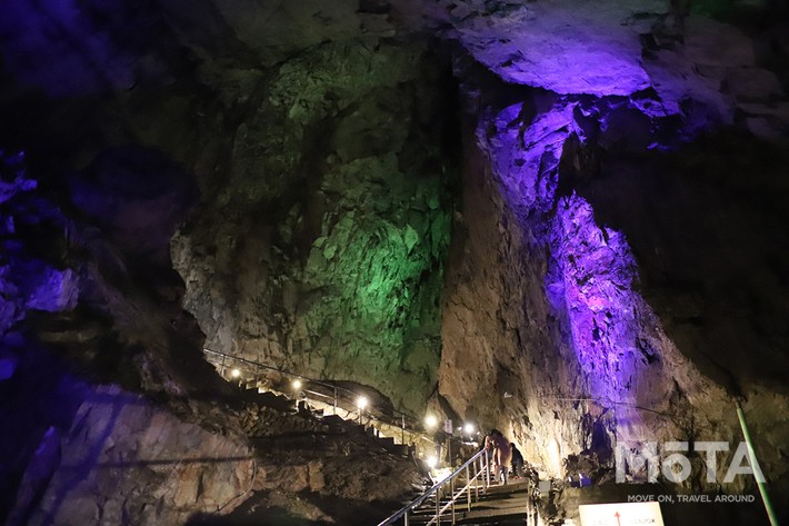 東京西部お出かけスポット