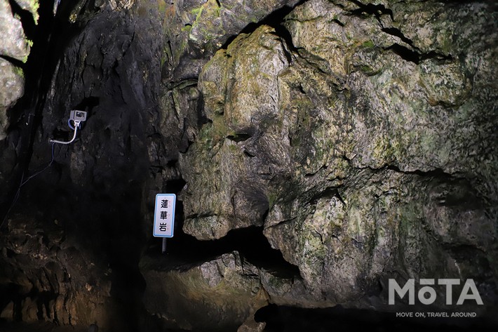 東京西部お出かけスポット