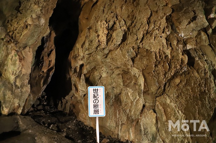 東京西部お出かけスポット