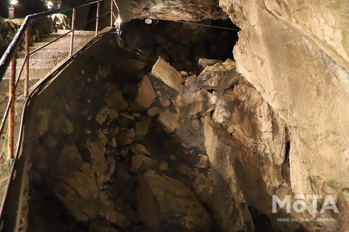 東京西部お出かけスポット