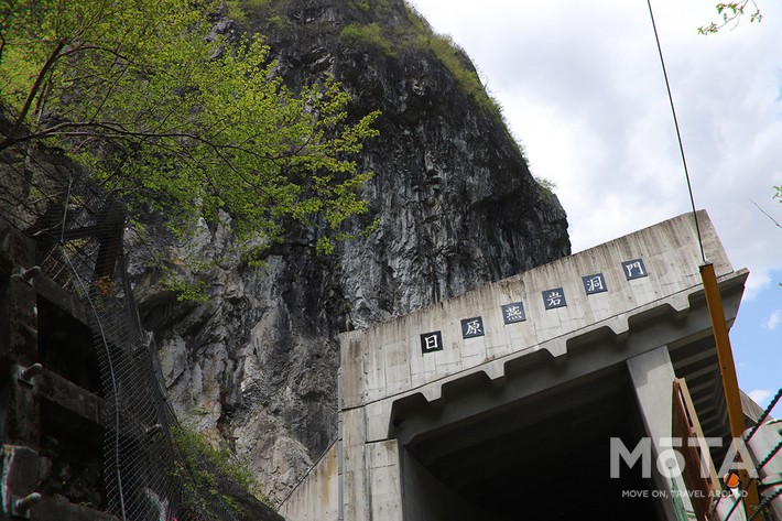 東京西部お出かけスポット