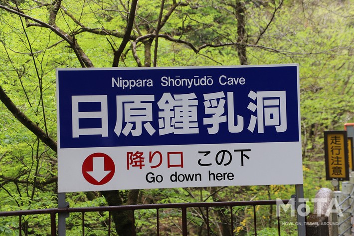 東京西部お出かけスポット