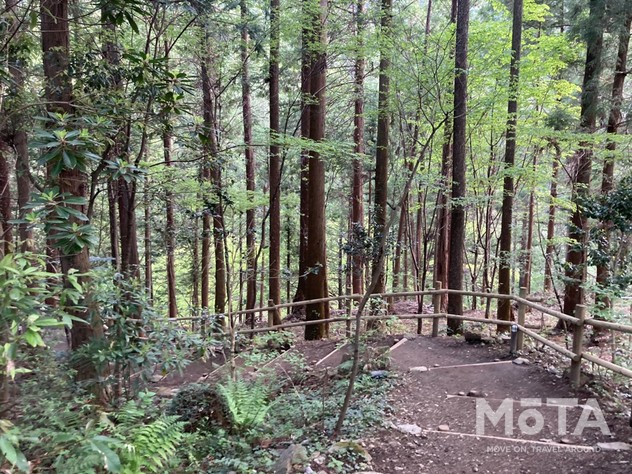 東京西部お出かけスポット