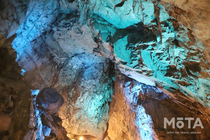 東京西部お出かけスポット