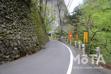 東京西部お出かけスポット