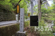 東京西部お出かけスポット