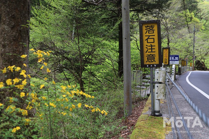 道中は道幅が狭いところもあり、落石注意の看板も多い