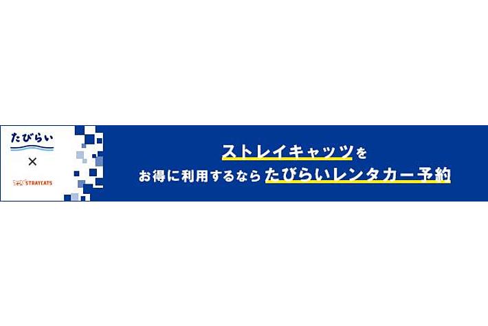 【たびらい×STRAYCATS】たびらいにてキャンプカーに特化したSTRAYCATSのレンタカー予約が開始しました！