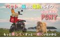 Makuakeで先行販売開始10日間で1700%突破！お買物も楽々！「大好きなペットと一緒に乗れる電動バイク」『PONY』