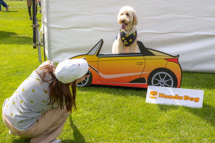 Honda Dog／ホンダアクセス