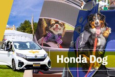 わんこフレンドリーなホンダ純正アクセサリー「Honda Dog」について、愛犬家イベントの参加者の声を聞いてみた／ホンダアクセス【PR】