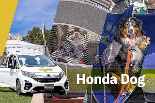 わんこフレンドリーなホンダ純正アクセサリー「Honda Dog」について、愛犬家イベントの参加者の声を聞いてみた