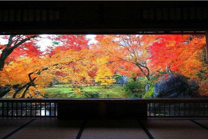 彌榮自動車 × JR西日本 × 宝厳院「嵐山で朝の静けさと紅葉の名庭を満喫」コラボレーションプランを実施