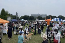 ホンダアクセス