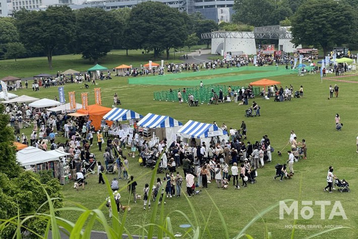 2022年6月に開催された「SippoFesta2022」の会場風景