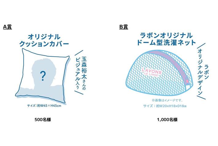 LAVONS ラボンオリジナルクッションカバー 2024 玉森裕太